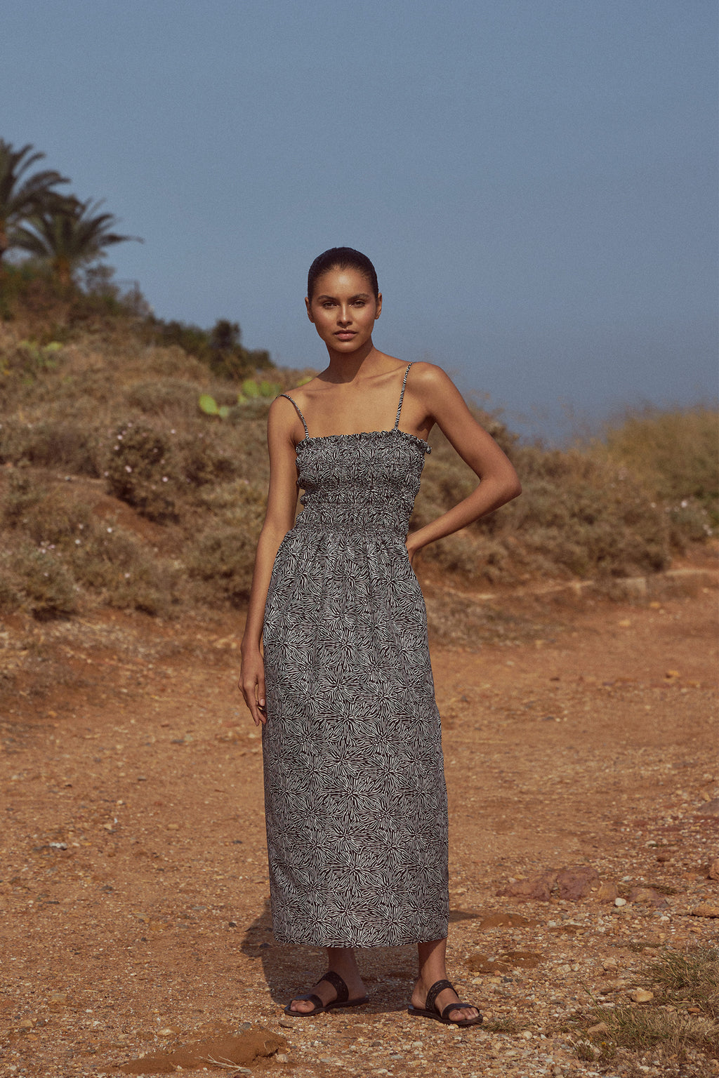 The Junia in Dandelion